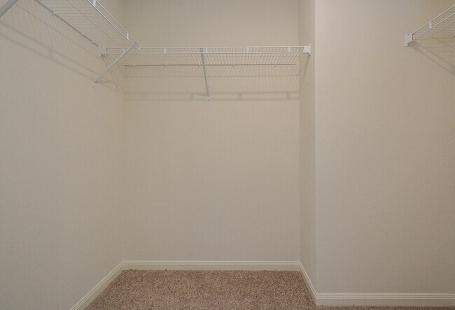 Building Photo - 21339 Rachel Manor Dr