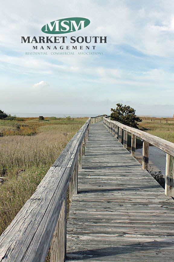 Building Photo - TYBEE OCEAN FRONT LUXURY AT SANDY SHORES