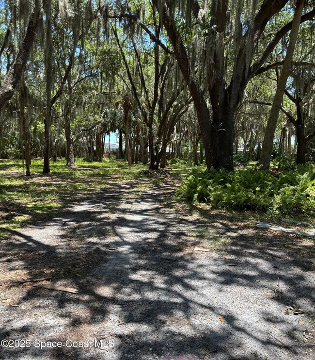 Building Photo - 5215 Lake Poinsett Rd