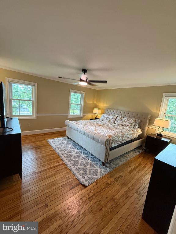 Building Photo - 6203 Franconia Forest Ct