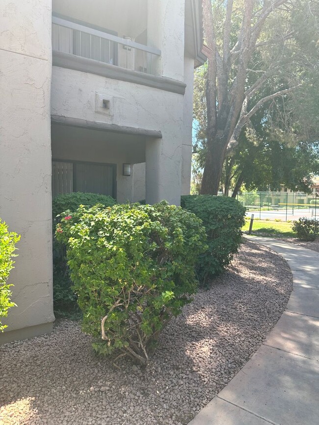 Building Photo - Condo In the Heart of Scottsdale