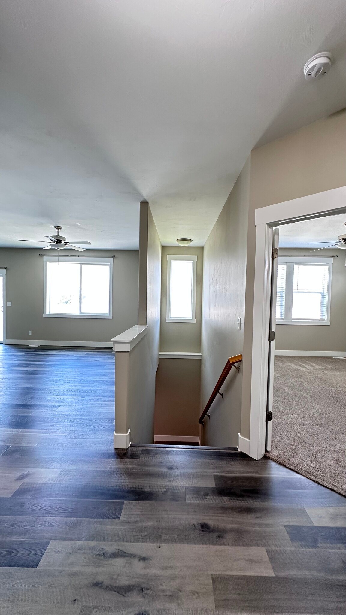 Building Photo - 2830 Blackwood