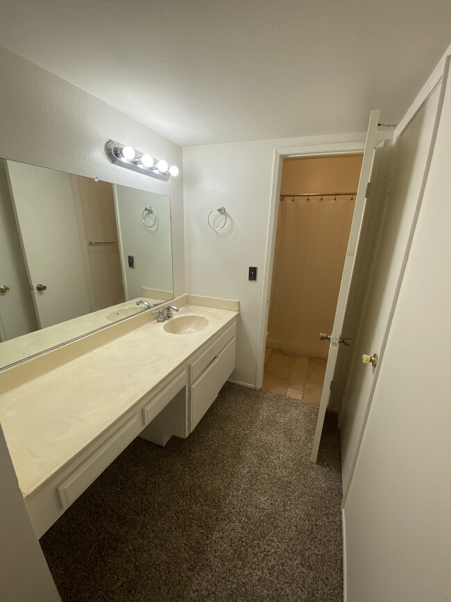 master bathroom - 19201 Coenson Cir