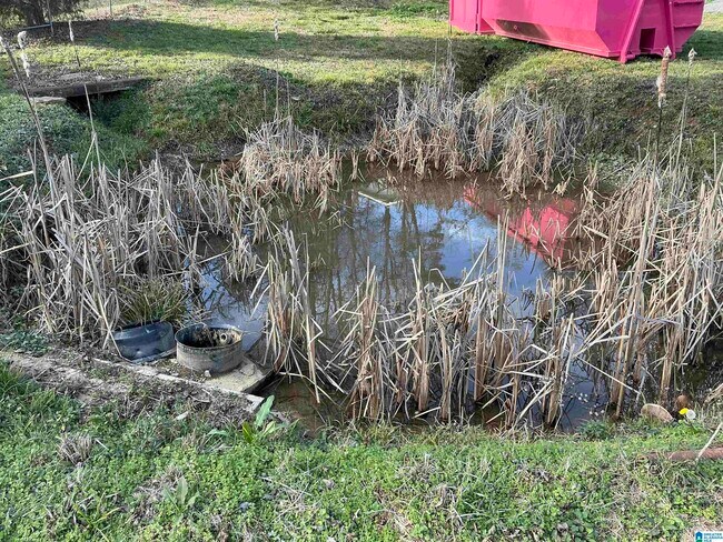 Building Photo - 4866 Overton Rd