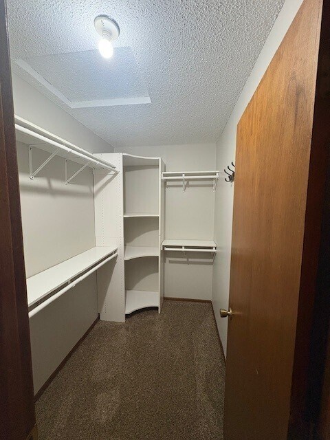 Master Walk in Closet - 4256 W 124th St
