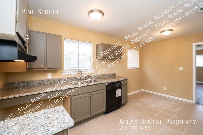 Building Photo - 213 Pine St