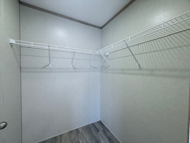 Building Photo - 29810 W Essex Ct