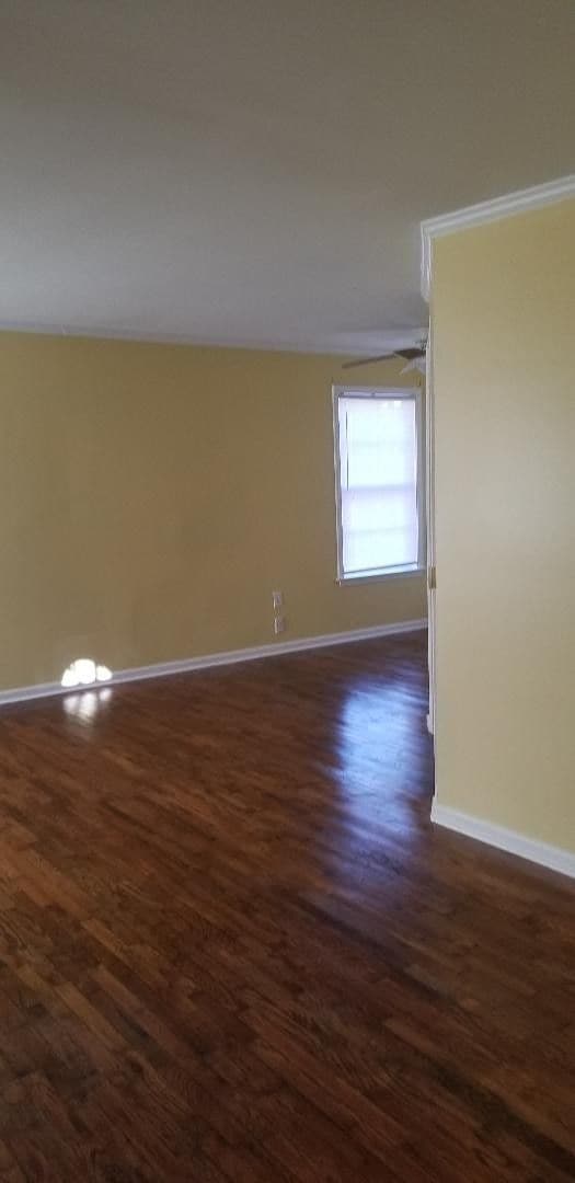 Building Photo - BIG AND ROOMIE! BIG AND ROOMIE!