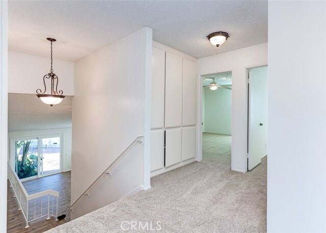 Building Photo - 23 Blazing Star