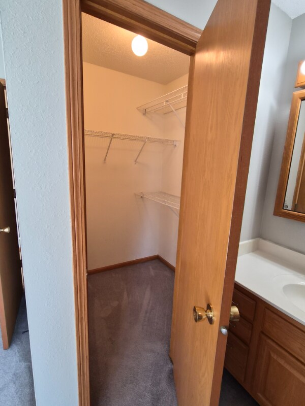 Building Photo - 3119 2nd Ave SW