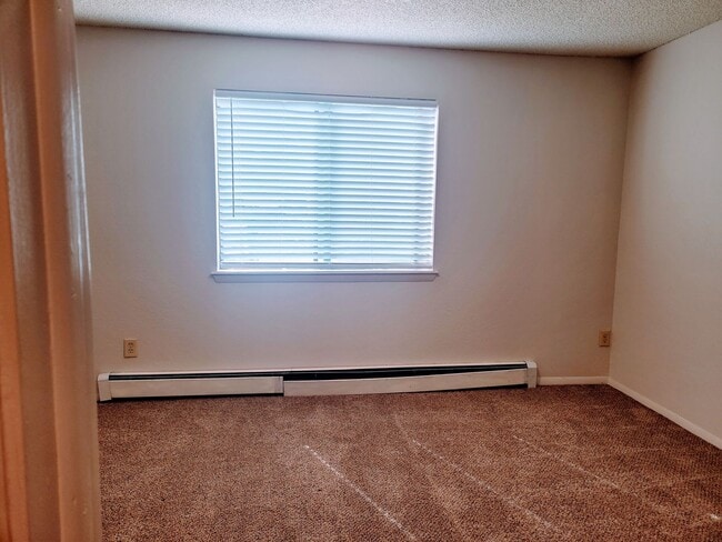 Building Photo - quiet cul-de-sac, new carpet, paint and ap...