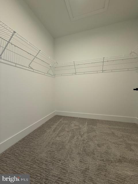 Building Photo - 7202 Donatello Dr