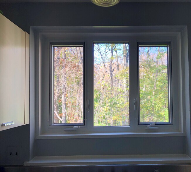 kitchen window - 10500 Montrose Ave