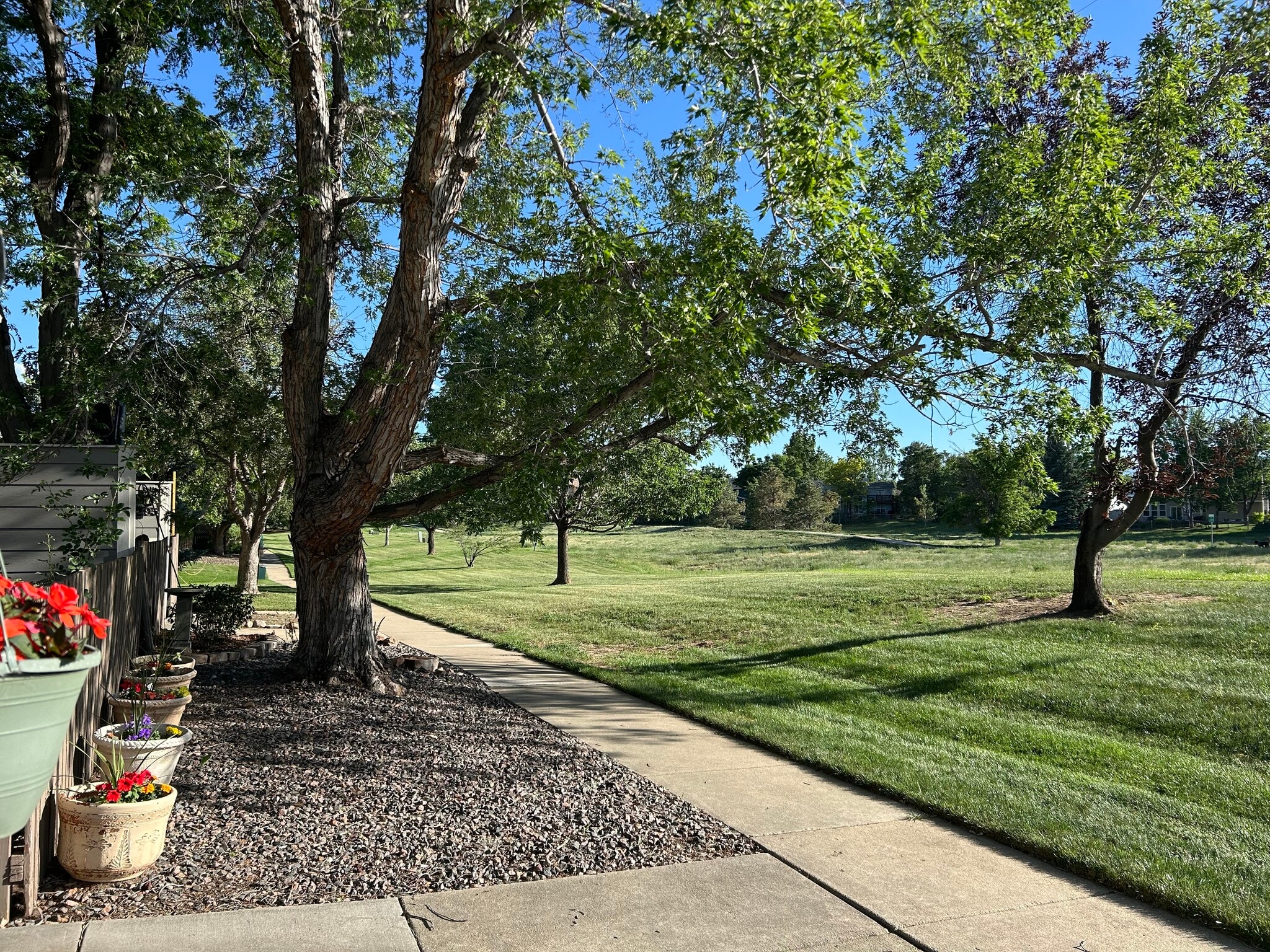 On Property Open Space - 356 S Taft Ct