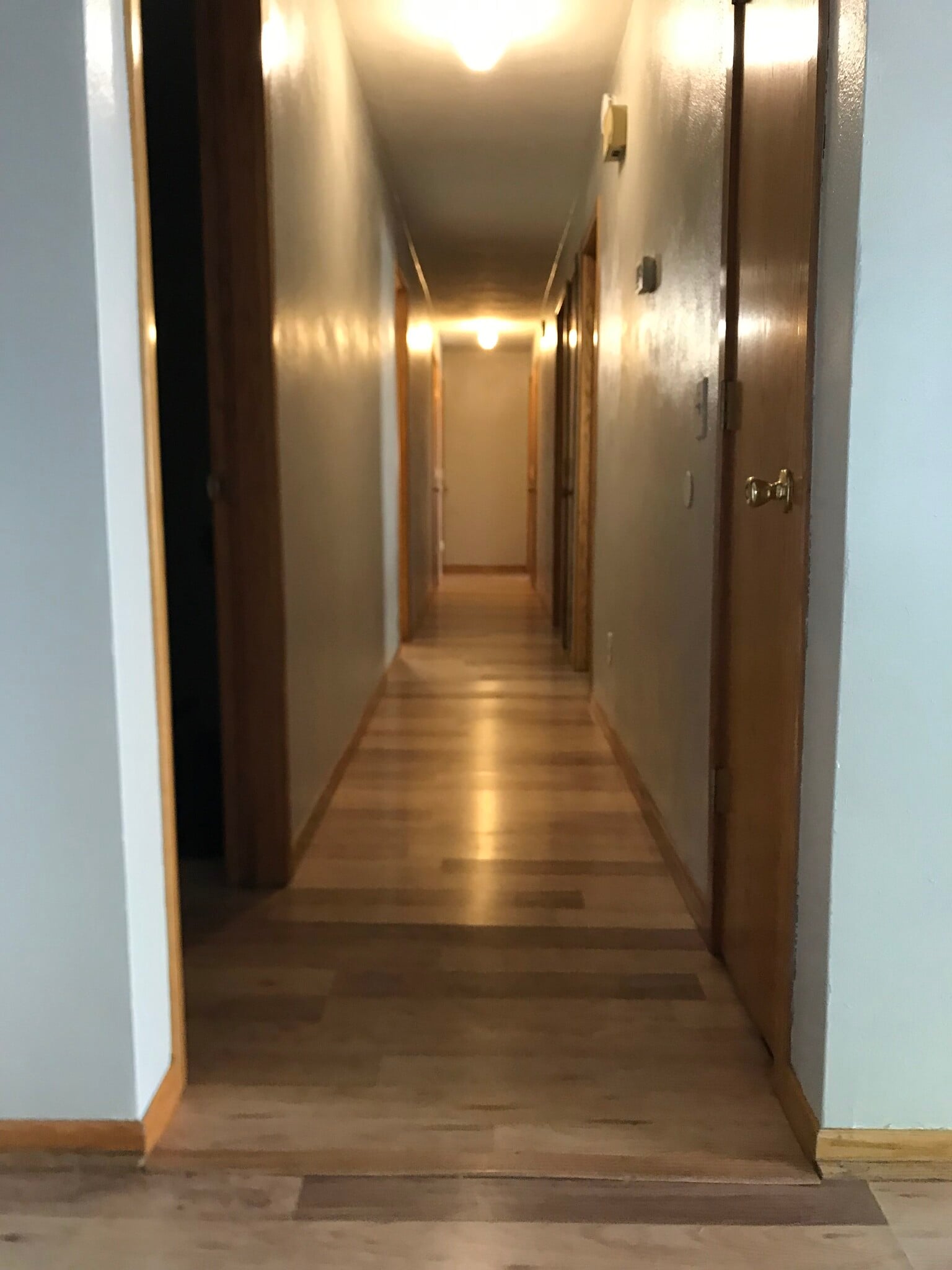 Hallway with 5 closets. - 729 3rd St
