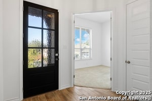 Building Photo - 1523 Balcones Fault