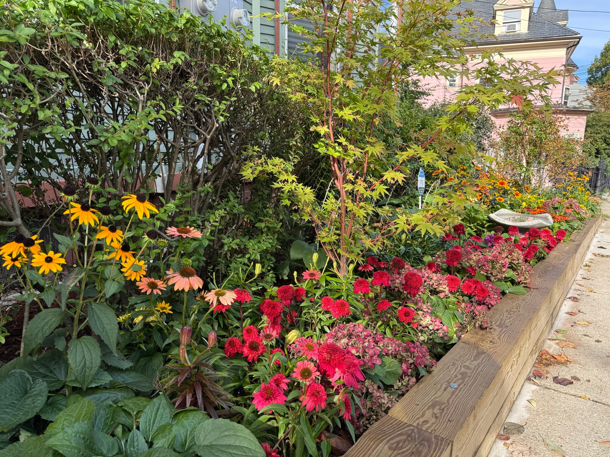 Building Photo - 96 Munroe St