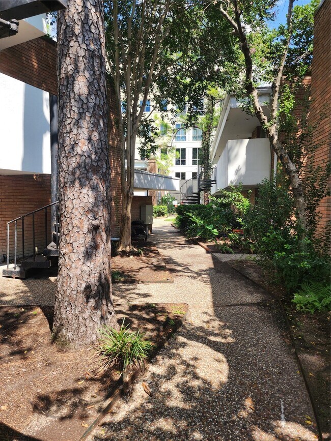 Building Photo - 513 S Post Oak Ln