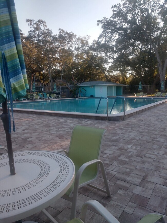 Building Photo - 2 Bedroom/2 Bath Palm Harbor Condo