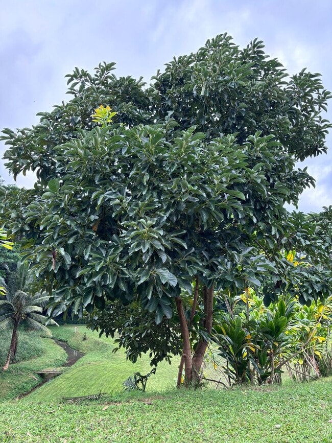 Building Photo - Peaceful 2.5-Acre Retreat | Furnished Mid-Term Rental