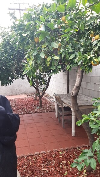 Back yard, visible from 2nd BR - 455 W Elk Ave