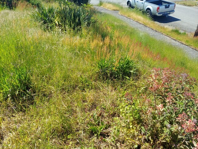 Building Photo - Charming Tacoma Home on a Peaceful Corner Lot!