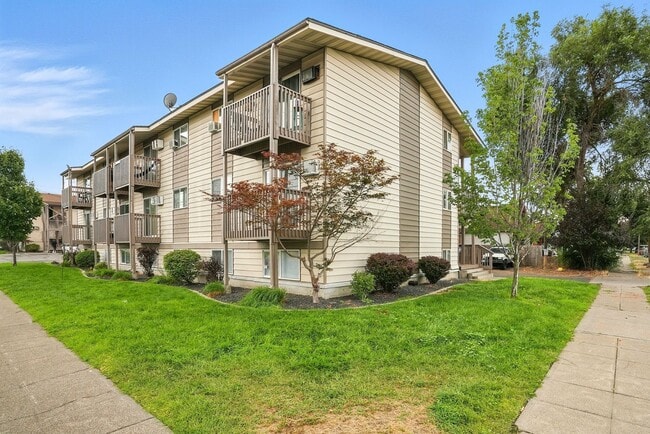 Building Photo - Cannonball Apartments!
