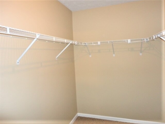 Building Photo - 7934 Cherrybark Dr