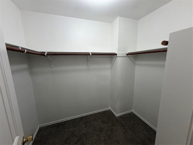 Building Photo - 12842 Cowper Dr