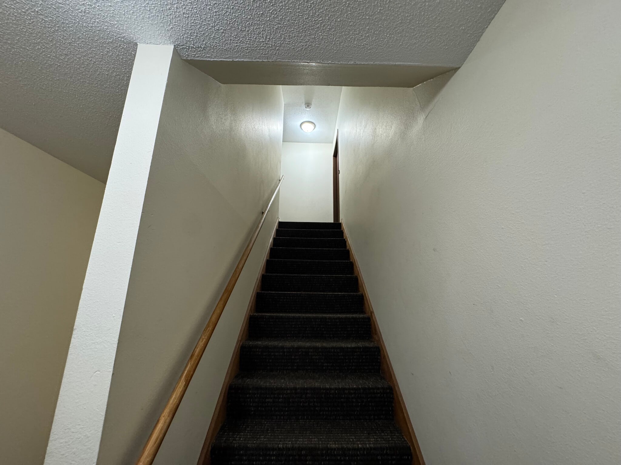 Building Photo - 2318 Meadow Ln