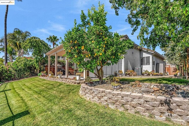Building Photo - 2435 Pinehurst Ct