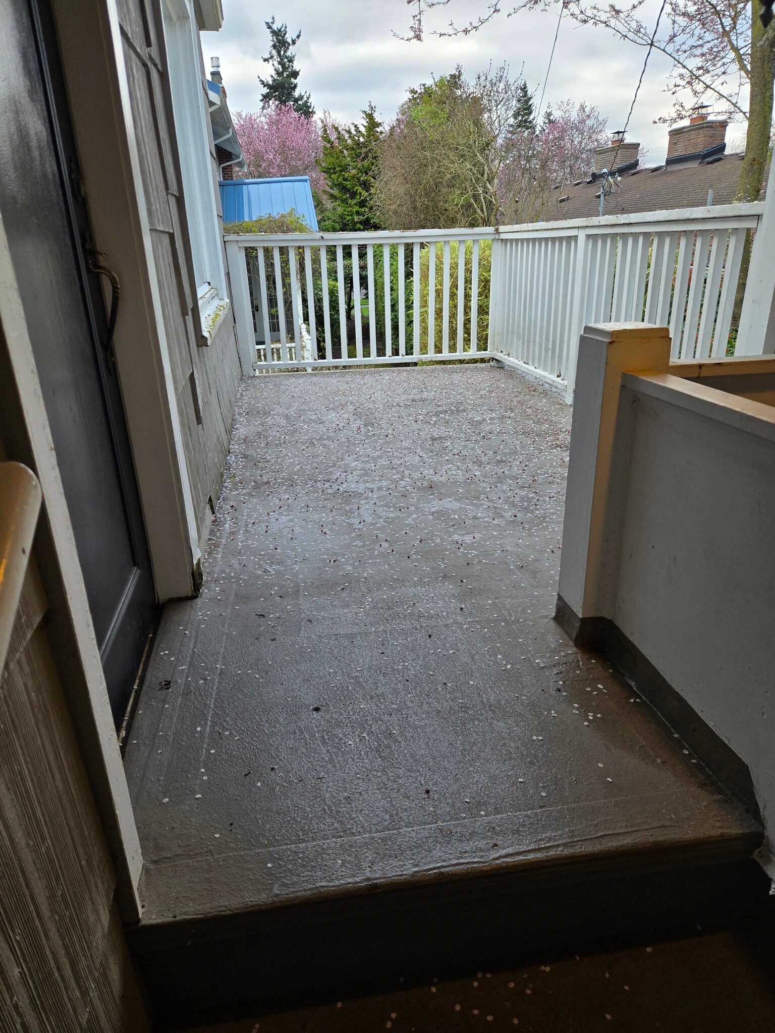 Patio - 1726 Hoyt Ave