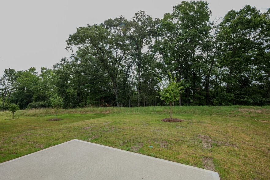 Backyard - 1510 Alvin Pond Dr