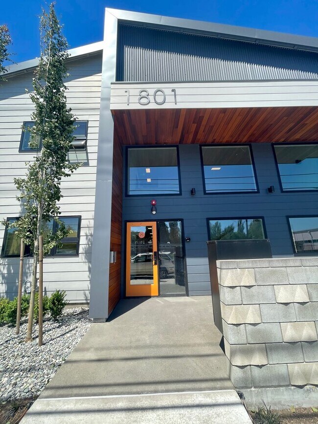 Primary Photo - Recently Built Luxury Studio Apartment in ...
