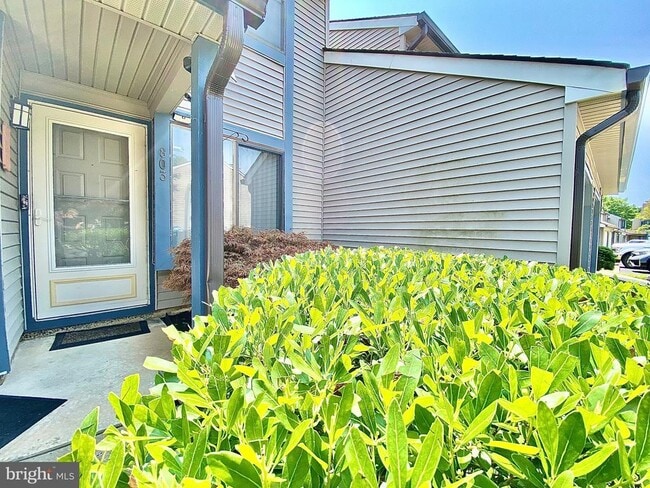 Building Photo - 803 Chesterwood Ct