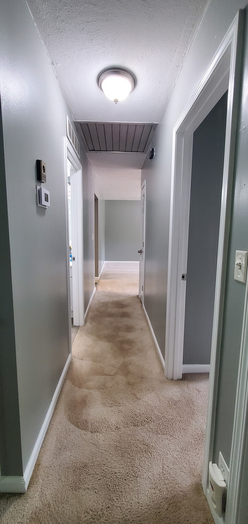 Hallway, full bath on left, bedroom #1 entry on right - 313 Britanna Dr
