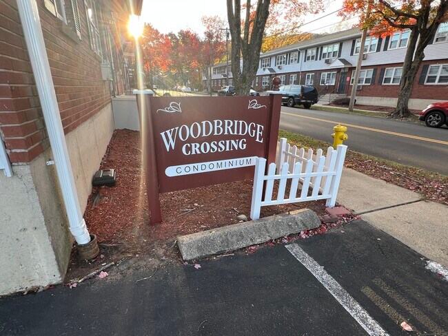 Building Photo - 119 Frederick St