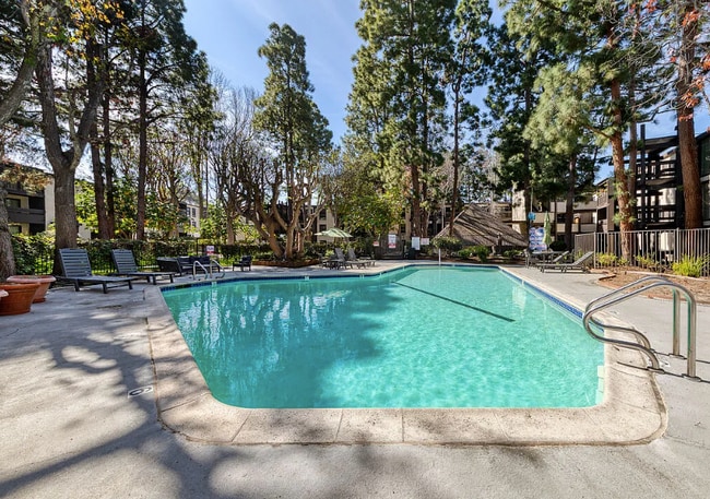 1 of 2 pools - 7777 W 91st St