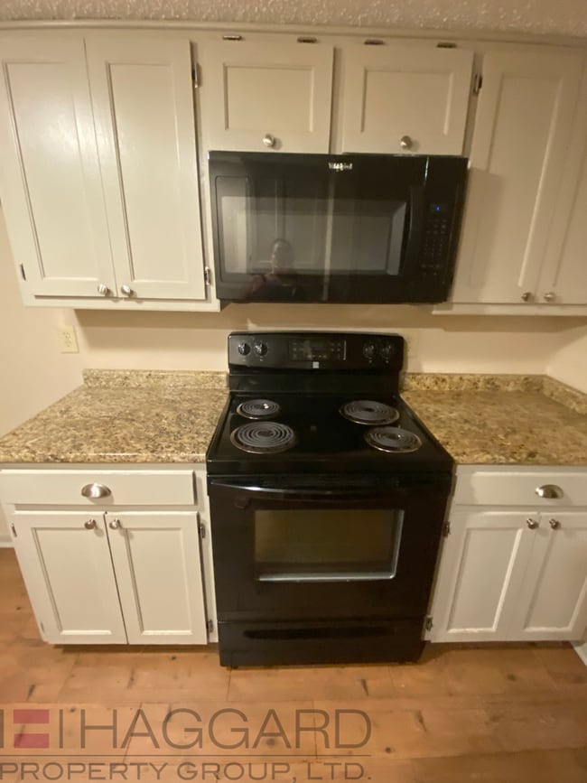 Building Photo - Move in Ready Duplex in Frisco!