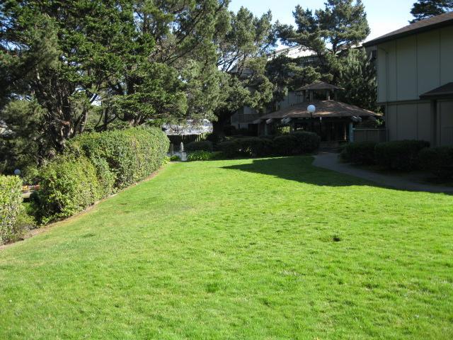 Building Photo - 381 Half Moon Ln #314