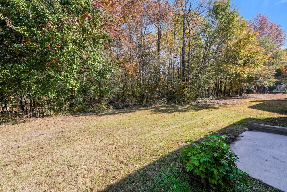 Building Photo - 4097 Rosebud Park Dr