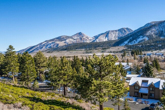 Building Photo - Mountain View Haven