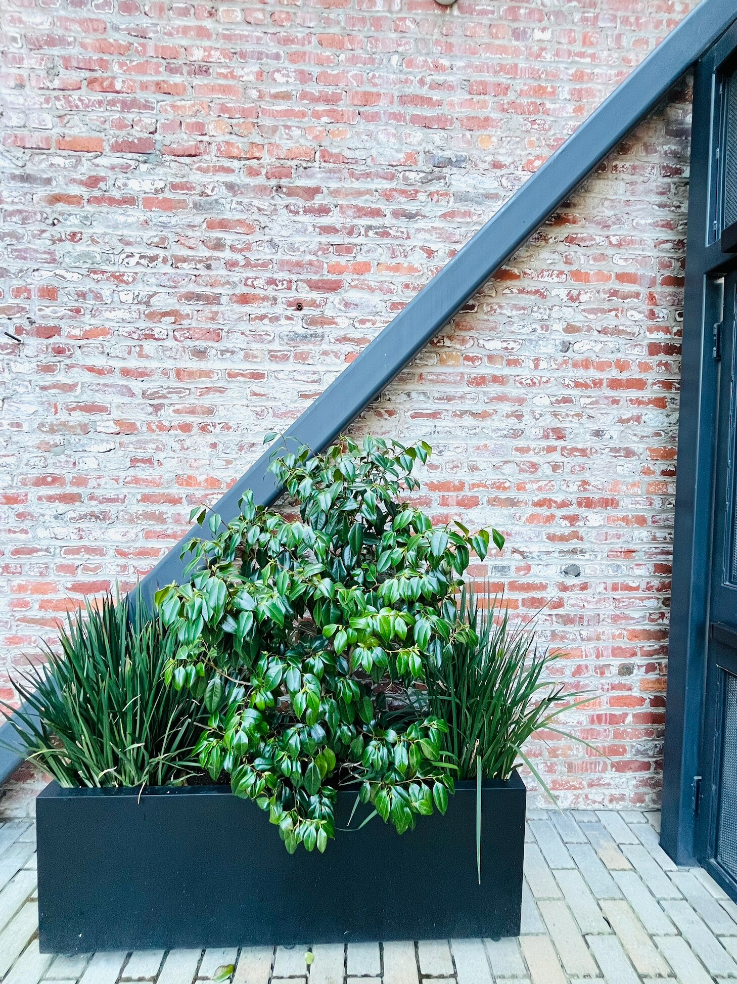 Building Photo - 230 7th St