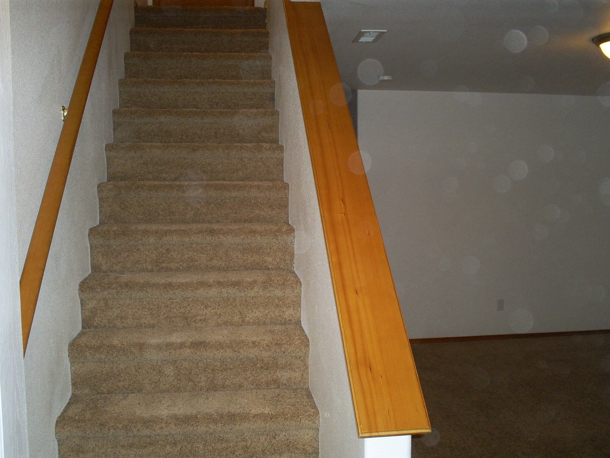 stairs up stairs - 1914 Sunset Dr