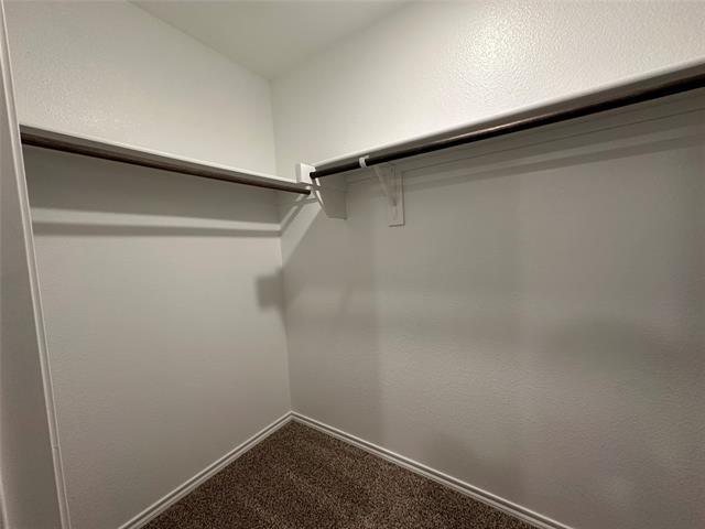 Building Photo - 2208 San Jacinto Wy