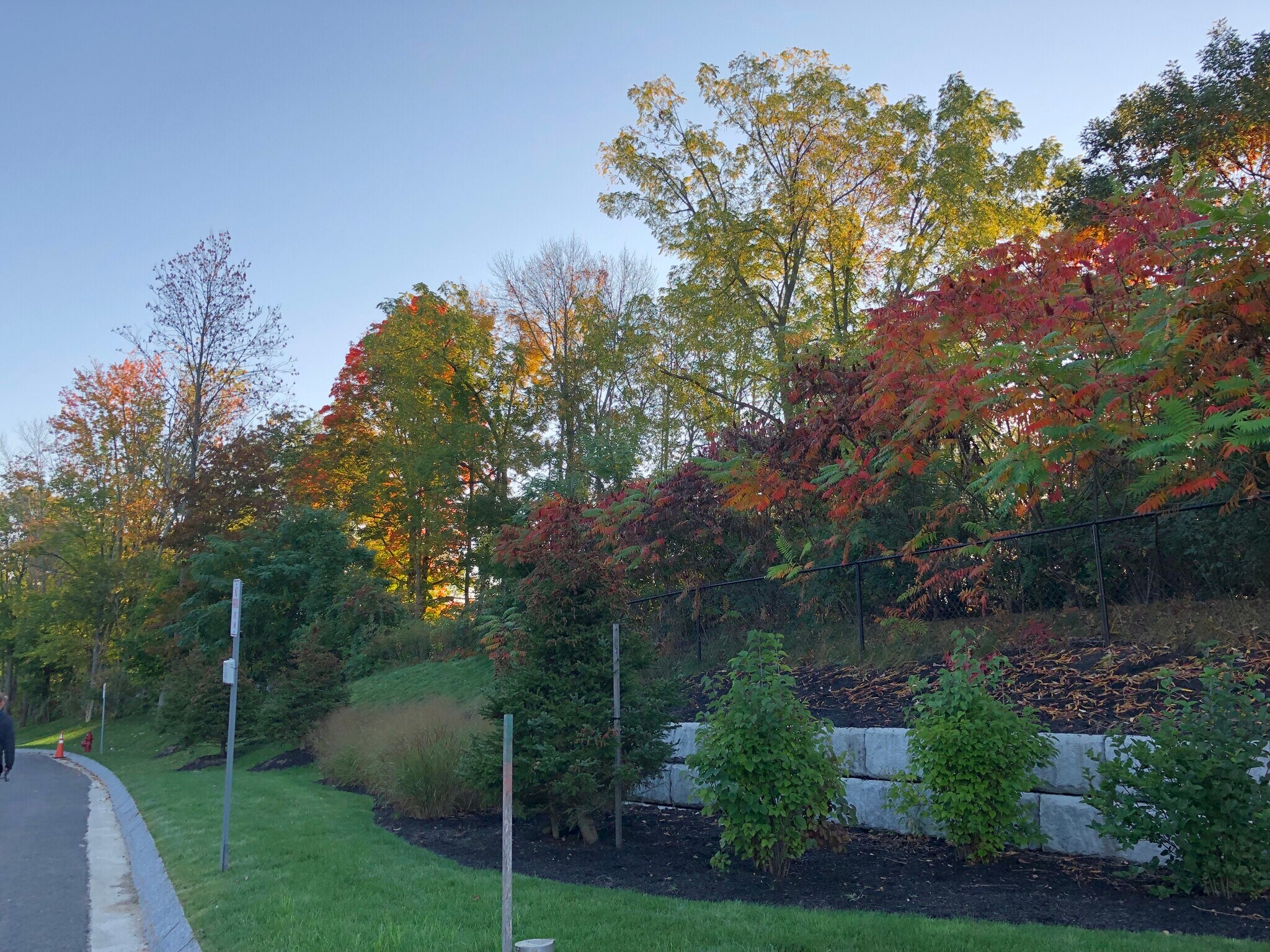 Building Photo - 30 Cate St