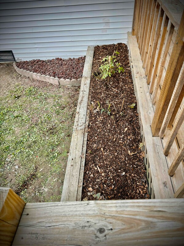 Building Photo - 73 Dan St