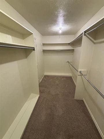 Building Photo - 4105 Brooktree Ln
