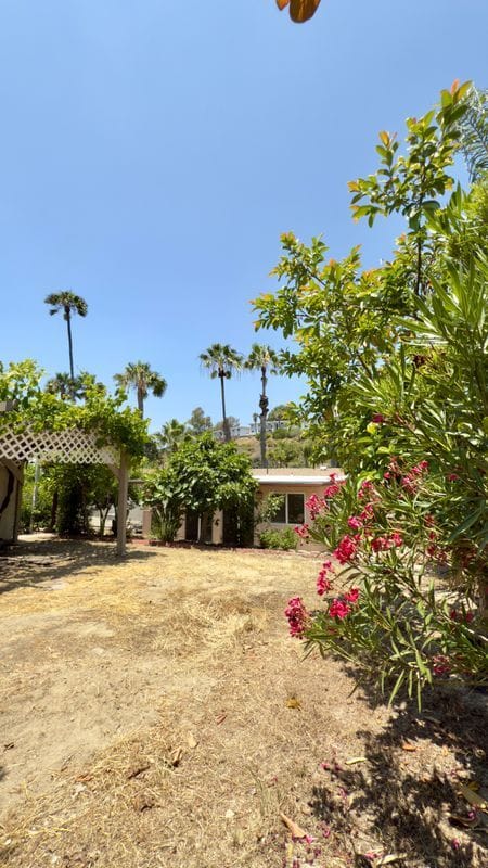 Building Photo - 2834 College Blvd