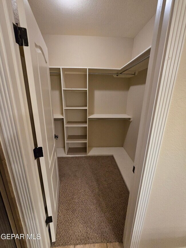 Building Photo - 3713 Star Beach Ln